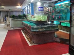 -海大大蒸汽海鲜餐厅·粤菜·特色小炒(欢乐颂店)
