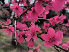 -象头山国家级自然保护区