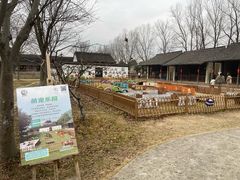 -乌村
