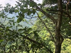 -溪口-滕头旅游景区