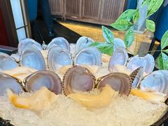 鸟贝-珍滋味海鲜粥火锅(工体店)