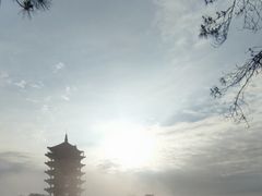 -缙云山景区