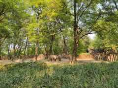 -北京野生动物园