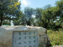 -桃苑郊野公园