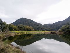 -广州市石门国家森林公园