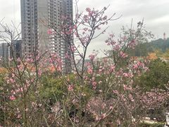 -小南山公园