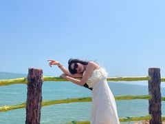 -广东惠东海龟国家级自然保护区