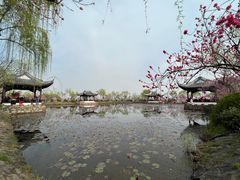 -无锡蠡湖国家湿地公园-蠡园