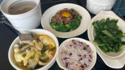 -臻康乃馨月子中心(凯宾斯基店)