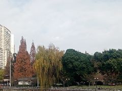 -温江公园