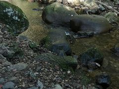 -九龙潭景区