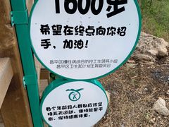 -大岭沟猕猴桃谷风景区