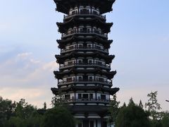 -洋湖国家湿地公园