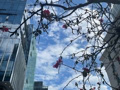 -HALO广场(梨园路店)