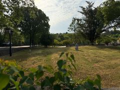 -报恩禅寺