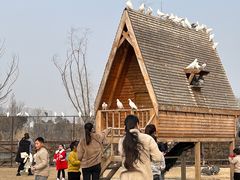 -祥源·阜阳生态乐园