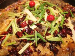 -老板恋上鱼(恒隆广场店)