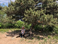 -阳台山自然风景区