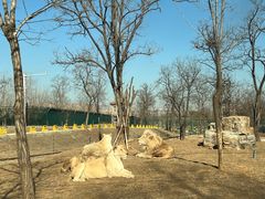 -秦皇岛野生动物园