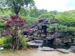 -苏州上方山国家森林公园