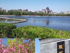 -莲花池公园