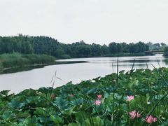 -马家湾湿地公园