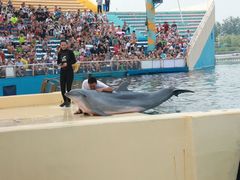 -秦皇岛乐岛海洋王国