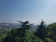 -信号山公园