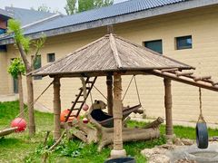 -石家庄市动物园