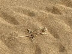 -达拉特旗响沙湾旅游区