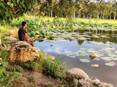 -长春市南湖公园