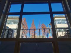 -玛马艾脆皮水磨年糕(湖北路87-89小区店)