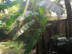 -胶囊画廊