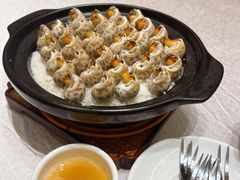 生猛东海花螺-观海半岛宴·湛江菜(海上世界店)