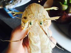 -小天鹅戴斯酒店鲸鲨百汇创作料理