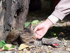 -宝通禅寺