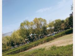 -青城公园
