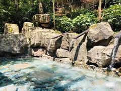 -宁海森林温泉