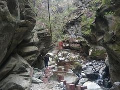 -黑河国家森林公园