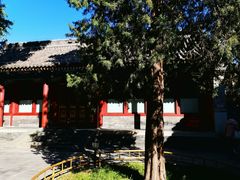 -恭王府博物馆