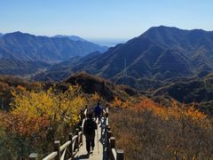 -大岭沟猕猴桃谷风景区