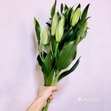 有自己买的，也有朋友国外带的，都很是喜欢