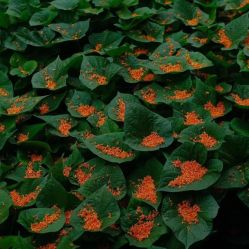 -Oasis Beauty水磨坊科技美肤中心