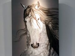 -深圳星河丽思卡尔顿酒店