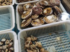 -韩家墅海吉星农产品批发市场
