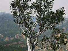 -神农山景区