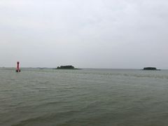 -微山湖红荷湿地景区