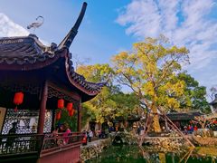 -上海醉白池公园