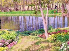 -上海共青森林公园