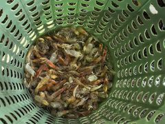 -北海金海湾红树林生态旅游区